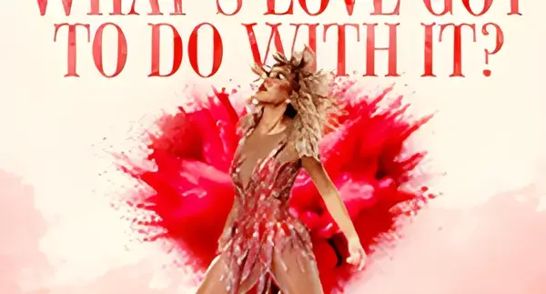 What's Love Got To Do With It? - Tina Turner Tribute Show