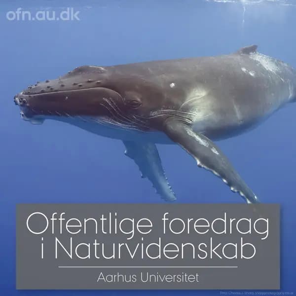 Med havets kæmper på jagt (via livestream fra Aarhus Universitet)