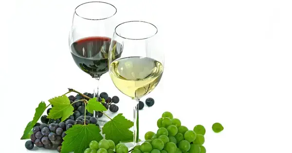 Winzerabend Bio-Weingut Hoffmann