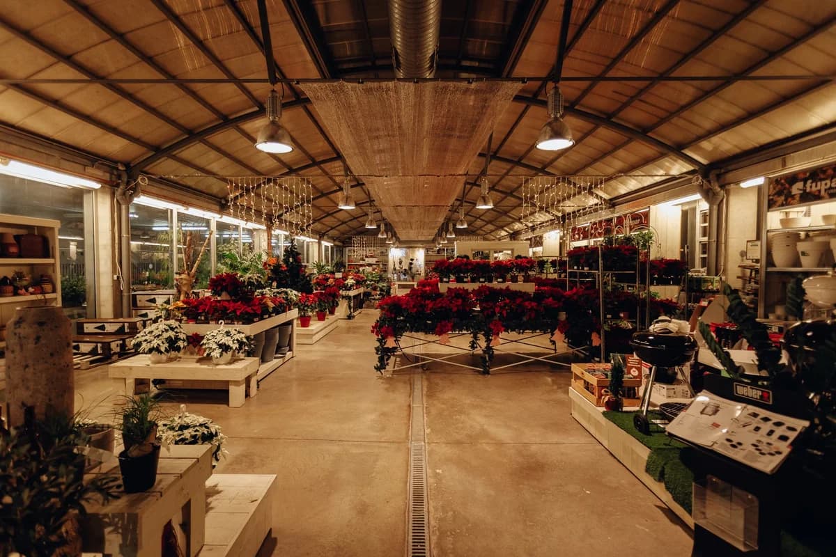 Indoor flower market filled with poinsettias and other plants